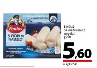 A&O Findus 5 Fiori di Nasello surgelati 250 g offerta