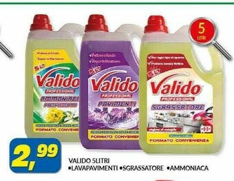 Risparmio Casa Valido Lavapavimenti offerta