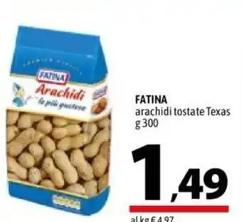A&O Fatina arachidi tostate Texas 300 g offerta