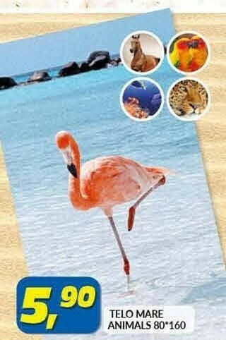Risparmio Casa Telo Mare Animals offerta