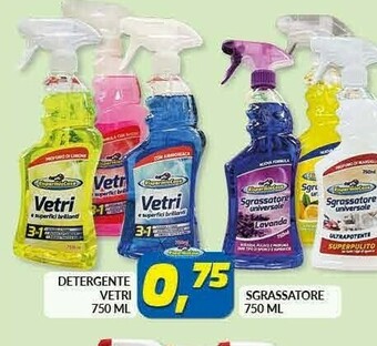 Risparmio Casa Vetri Detergente 750 Ml offerta