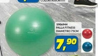 Risparmio Casa Palla Fitness Diametro 75 Cm offerta