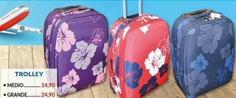 Risparmio Casa Trolley Medio offerta