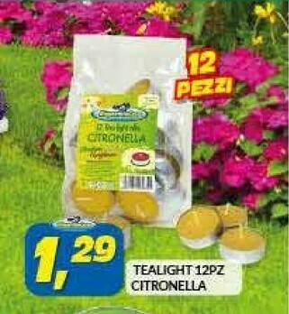 Risparmio Casa Tealight 12 PZ Citronella offerta
