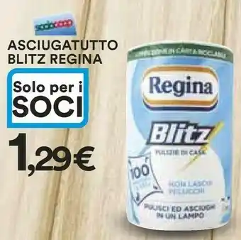 Coop Regina Asciugatutto Blitz offerta