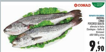 Ombrina