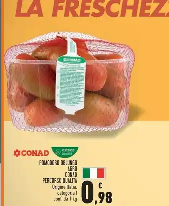 Conad Superstore Pomodoro Oblungo Agro offerta