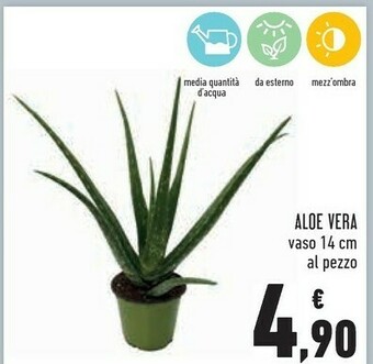 Conad Superstore Aloe Vera offerta