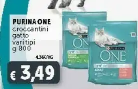 Deco Supermercati Purina Croccantini I Gatto offerta