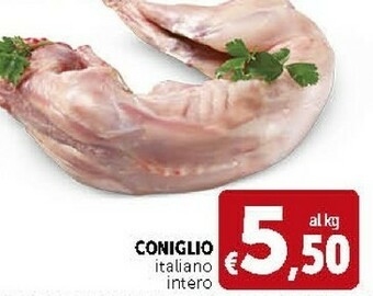 Coniglio