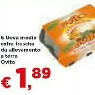 Metà Ovito Uova offerta