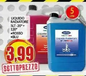 Risparmio Casa Liquido Radiatore offerta