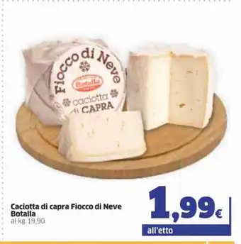Caciotta di capra Fiocco Di Neve Botalla 19.90kg