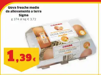 Ok Sigma Uova Fresche medie da allevamento a terra Sigma 374g offerta