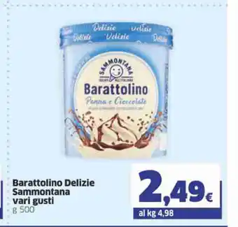 Barattolino Delizie Sammontana vari gusti 500g