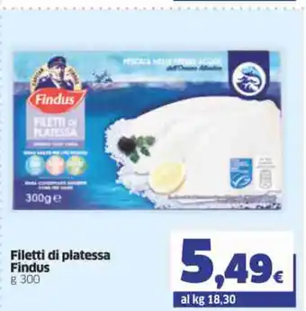 Ok Sigma Filetti di Platessa Findus 300 g offerta