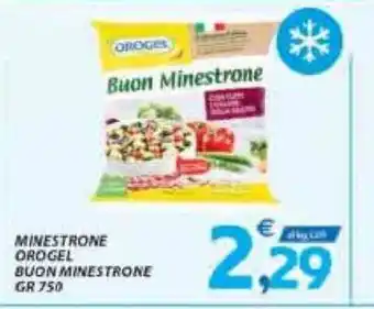 Vivo Supermercati Orogel Minestrone Buon Minestrone 750 Gr offerta