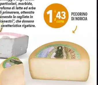 Supermercati Dok Pecorino Di Norcia offerta