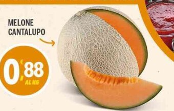 Supermercati Dok Melone Cantalupo offerta