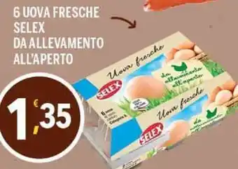 6 Uova Fresche Selex Da Allevamento All'Aperto