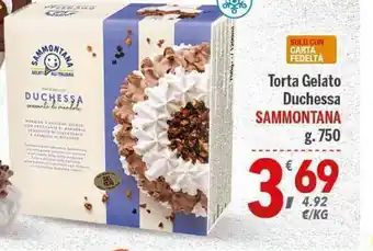 Sammontana Torta Gelato Duchessa 750g