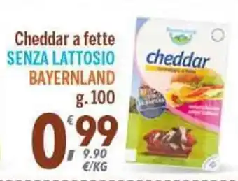 Cheddar a fette Senza Lattosio Bayerland 100g
