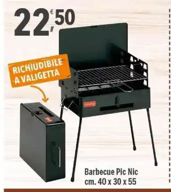 Barbecue Pin Nic 40 x 30 x 55cm