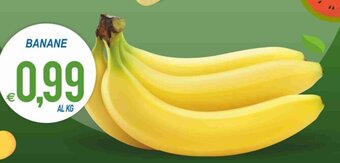MD Discount Banane offerta