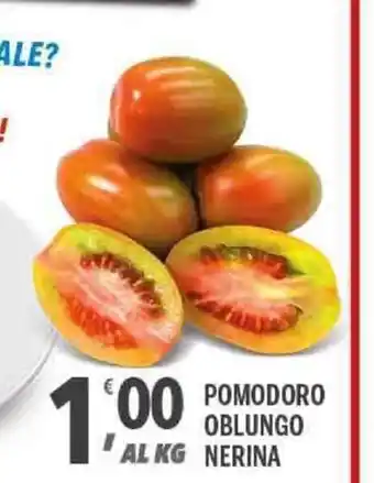 Pomodoro Oblungo Nerina