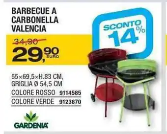 Barbecue A Carbonella Valencia