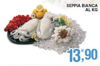 Seppia Bianca Al Kg