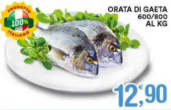 Orata di Gaeta 600/800 Al Kg