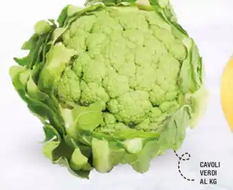 Cavoli Verdi al kg