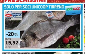 Coop Orata coop offerta