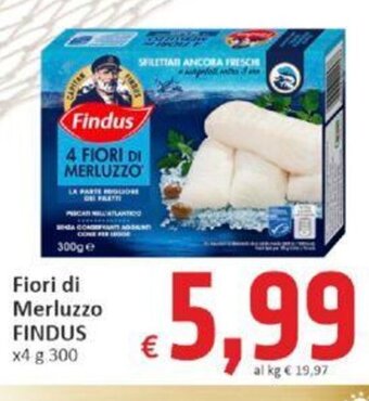 Paghi Poco Findus Fiori di Merluzzo x4 300 g offerta