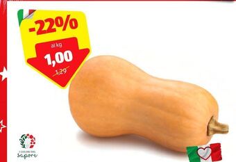 ALDI Zucca butternut offerta