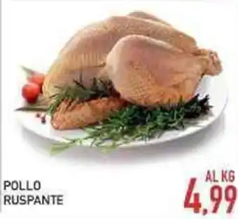 Bitar Pollo Ruspante offerta