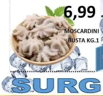 Moscardini Busta 1 kg.