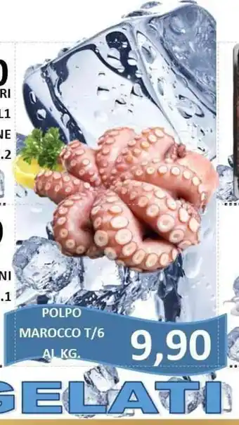 Polpo Marocco T/6 Al Kg.