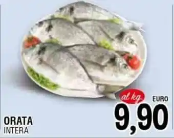 Orata Intera