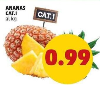 PENNY Ananas Cat. I offerta