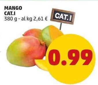 PENNY Mango Cat.I 380 g offerta