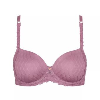 Triumph Azalea florale offerta