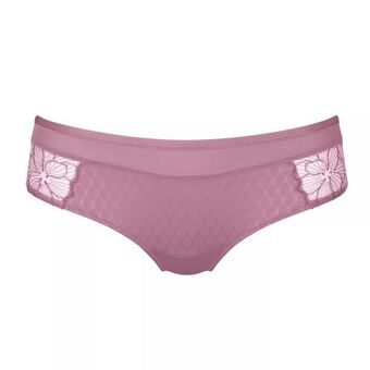Triumph Azalea florale offerta