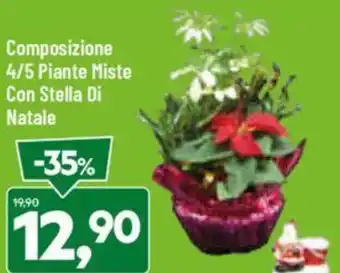 DPiù Composizione 4/5 Piante Miste Con Stella Di Natale offerta