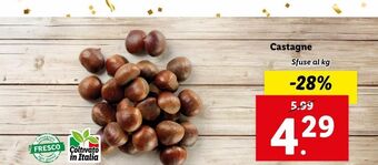 Castagne