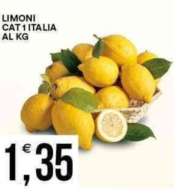 Limoni Cat 1 Italia