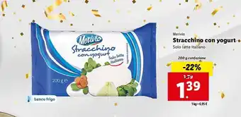 Lidl Stracchino con yogurt offerta