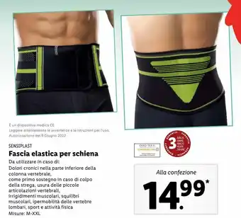Fascia elastica per schiena