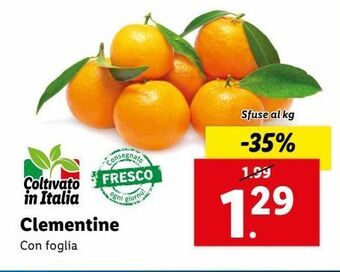 Lidl Clementine offerta